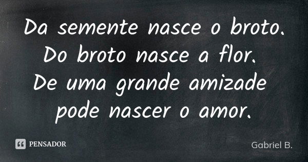 Da semente nasce o broto. Do broto nasce a flor. De uma grande amizade pode nascer o amor.... Frase de Gabriel B..