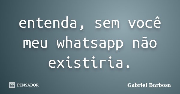 ‪entenda, sem você meu whatsapp não existiria.... Frase de Gabriel Barbosa.