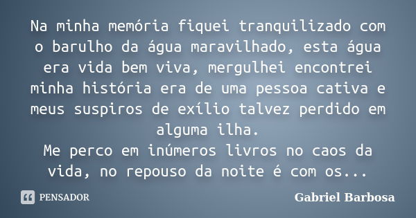 Na minha memória fiquei tranquilizado com o barulho da água maravilhado, esta água era vida bem viva, mergulhei encontrei minha história era de uma pessoa cativ... Frase de Gabriel Barbosa.