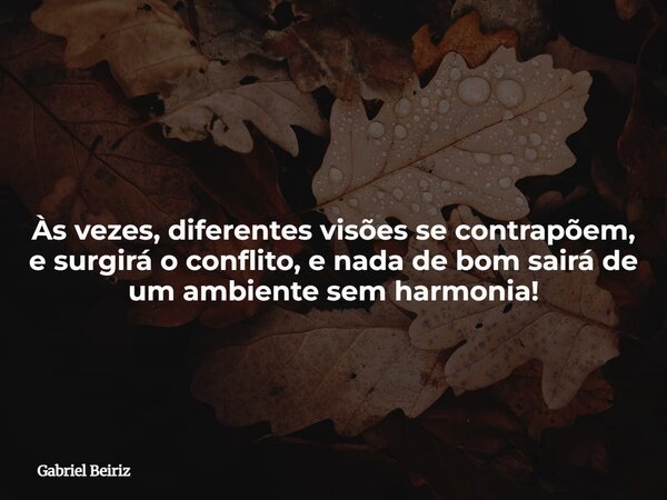 ⁠ Às vezes, diferentes visões se contrapõem, e surgirá o conflito, e nada de bom sairá de um ambiente sem harmonia!... Frase de Gabriel Beiriz.