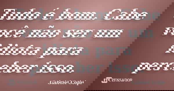 Tudo é bom. Cabe você não ser um idiota para perceber isso.... Frase de Gabriel Colpi.