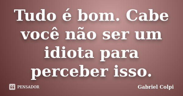 Tudo é bom. Cabe você não ser um idiota para perceber isso.... Frase de Gabriel Colpi.