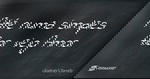 Até numa simples flor vejo Amor... Frase de Gabriel Corrêa.