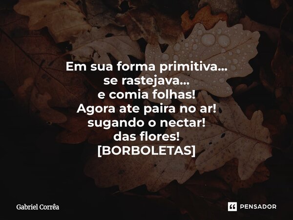 Em sua forma primitiva... se rastejava... e comia folhas! Agora ate paira no ar! sugando o nectar! das flores! [BORBOLETAS]... Frase de Gabriel Corrêa.