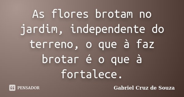 As flores brotam no jardim, independente do terreno, o que à faz brotar é o que à fortalece.... Frase de Gabriel Cruz de Souza..