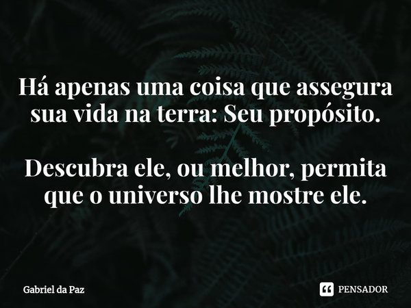 ⁠Há apenas uma coisa que assegura sua vida na terra: Seu propósito. Descubra ele, ou melhor, permita que o universo lhe mostre ele.... Frase de Gabriel da Paz.