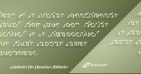 Amor é o único sentimento no qual tem que ser feito o possível e o impossível para que tudo corra como queremos.... Frase de Gabriel De Queiroz Ribeiro.