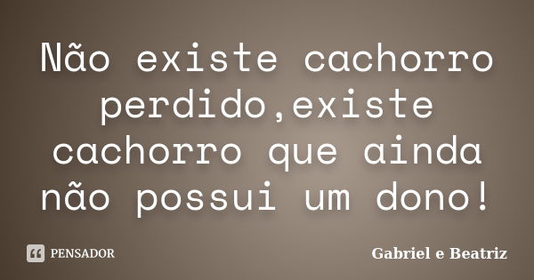 Não existe cachorro perdido,existe cachorro que ainda não possui um dono!... Frase de Gabriel e Beatriz.