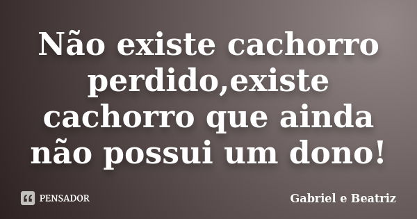 Não existe cachorro perdido,existe cachorro que ainda não possui um dono!... Frase de Gabriel e Beatriz.