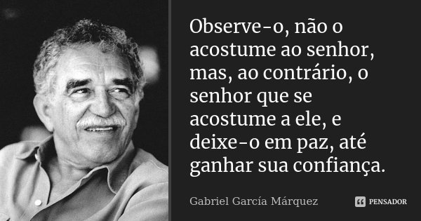 Observe-o, não o acostume ao senhor, mas, ao contrário, o senhor que se acostume a ele, e deixe-o em paz, até ganhar sua confiança.... Frase de Gabriel García Márquez.
