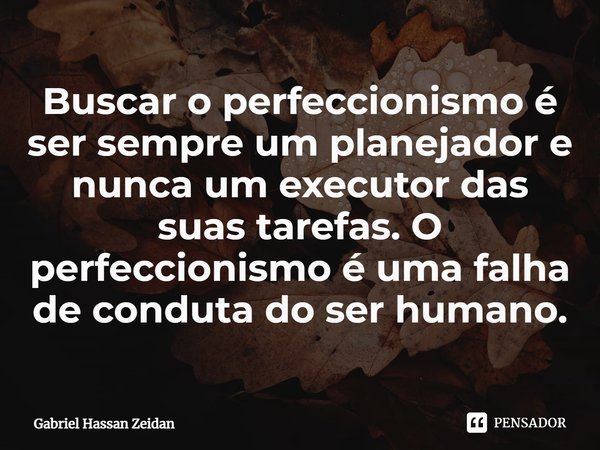 ⁠Buscar o perfeccionismo é ser sempre um planejador e nunca um executor das suas tarefas. O perfeccionismo é uma falha de conduta do ser humano.... Frase de Gabriel Hassan Zeidan.
