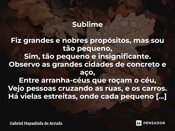 ⁠Sublime Fiz grandes e nobres propósitos, mas sou tão pequeno, Sim, tão pequeno e insignificante. Observo as grandes cidades de concreto e aço, Entre arranha-cé... Frase de Gabriel Hayashida de Arruda.