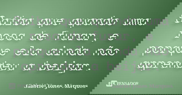 Saiba que quando uma rosa de furar, e porque ela ainda não aprendeu a beijar.... Frase de Gabriel Jones Marques.