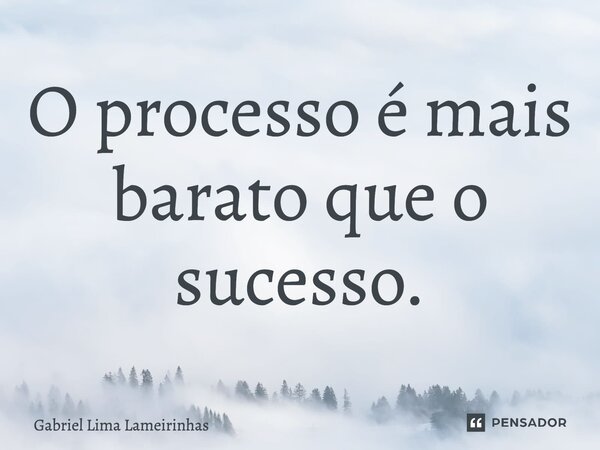 ⁠O processo é mais barato que o sucesso.... Frase de Gabriel Lima Lameirinhas.