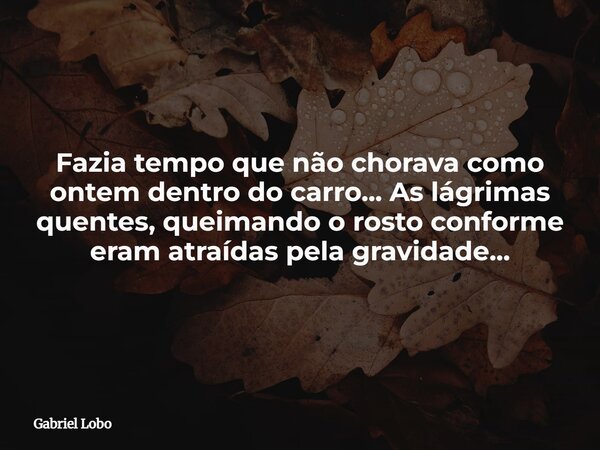 Fazia tempo que não chorava como ontem dentro do carro... As lágrimas quentes, queimando o rosto conforme eram atraídas pela gravidade...... Frase de Gabriel Lobo.