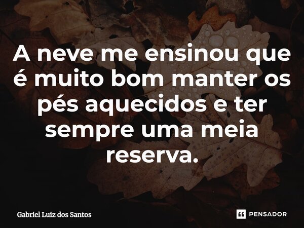 ⁠A neve me ensinou que é muito bom manter os pés aquecidos e ter sempre uma meia reserva.... Frase de Gabriel Luiz dos Santos.