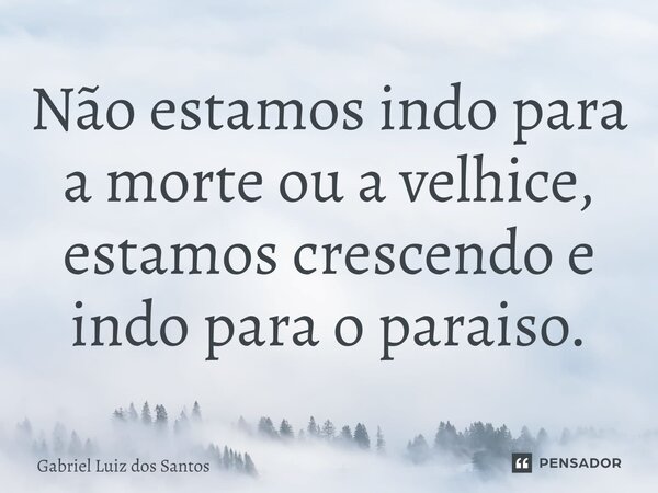 ⁠Não estamos indo para a morte ou a velhice, estamos crescendo e indo para o paraíso.... Frase de Gabriel Luiz dos Santos.