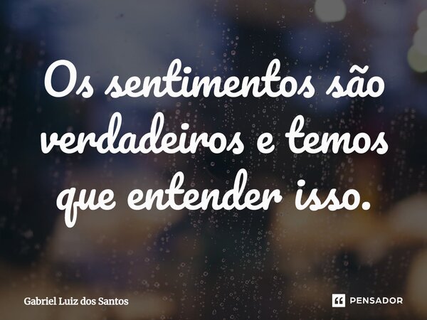 ⁠Os sentimentos são verdadeiros e temos que entender isso.... Frase de Gabriel Luiz dos Santos.