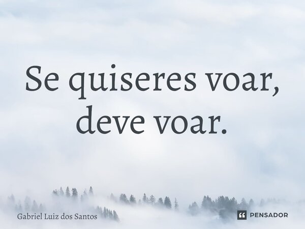 ⁠Se quiseres voar, deve voar.... Frase de Gabriel Luiz dos Santos.