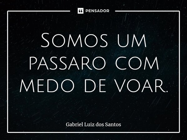 ⁠Somos um pássaro com medo de voar.... Frase de Gabriel Luiz dos Santos.