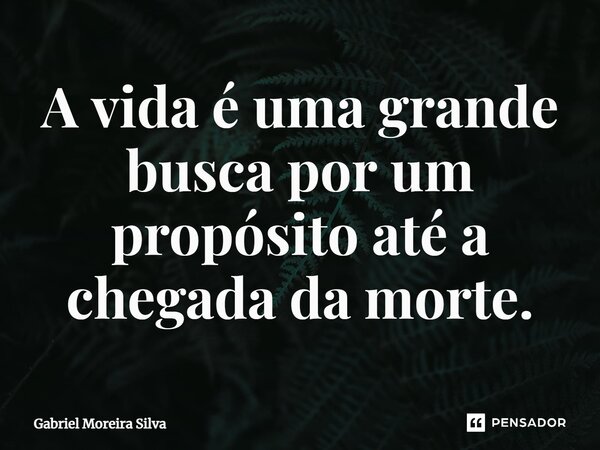 ⁠A vida é uma grande busca por um propósito até a chegada da morte.... Frase de Gabriel Moreira Silva.