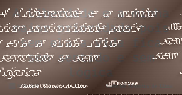 A liberdade e a minha maior prioridade pois sem ela a vida fica sem sentido e sem lógica... Frase de Gabriel Moreira de Lima.