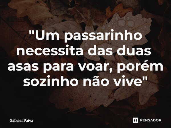 "Um passarinho necessita das duas ⁠ asas para voar, porém sozinho não vive"... Frase de Gabriel Paiva.