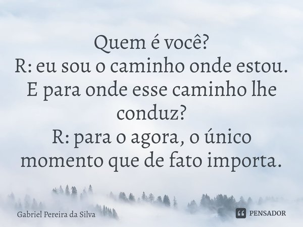 ⁠Quem é você?
R: eu sou o caminho onde estou.
E para onde esse caminho lhe conduz?
R: para o agora, o único momento que de fato importa.... Frase de Gabriel Pereira da Silva.