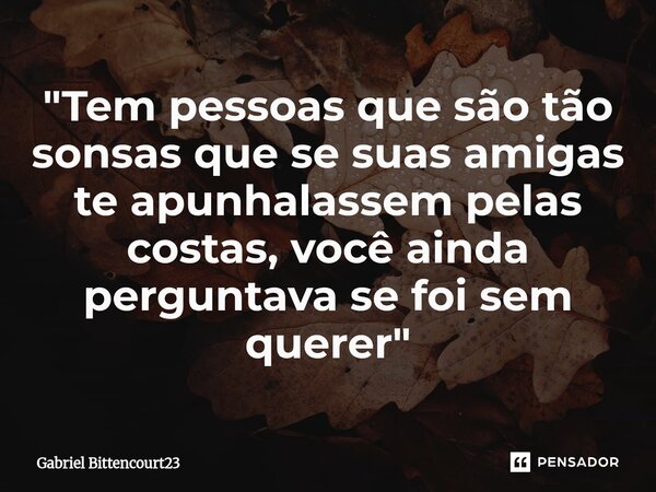 "⁠Tem pessoas que são tão sonsas que se suas amigas te apunhalassem pelas costas, você ainda perguntava se foi sem querer"... Frase de Gabriel Bittencourt23.