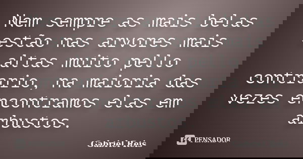 Nem sempre as mais belas estão nas arvores mais altas muito pello contrario, na maioria das vezes encontramos elas em arbustos.... Frase de Gabriel Reis.