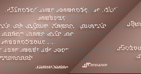 Plantei uma semente, e fui embora. Depois de algum tempo, queria saber como ela se encontrava... Estava com medo de ser arrancada... Frase de Gabriel Sabino.