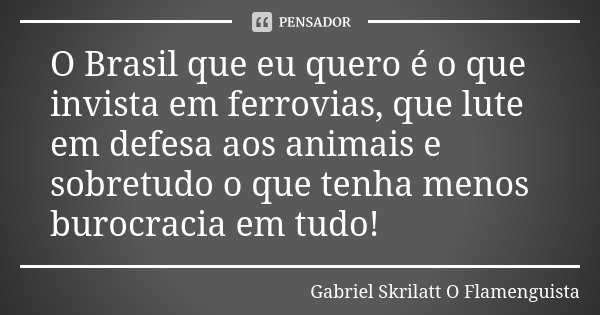 O Brasil que eu quero é o que invista em ferrovias, que lute em defesa aos animais e sobretudo o que tenha menos burocracia em tudo!... Frase de Gabriel Skrilatt (O Flamenguista).