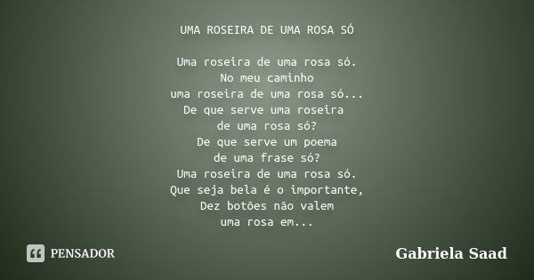 UMA ROSEIRA DE UMA ROSA SÓ Uma roseira de uma rosa só. No meu caminho uma roseira de uma rosa só... De que serve uma roseira de uma rosa só? De que serve um poe... Frase de Gabriela Saad.
