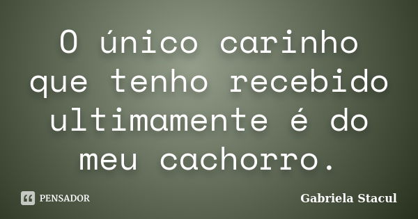 O único carinho que tenho recebido ultimamente é do meu cachorro.... Frase de Gabriela Stacul.