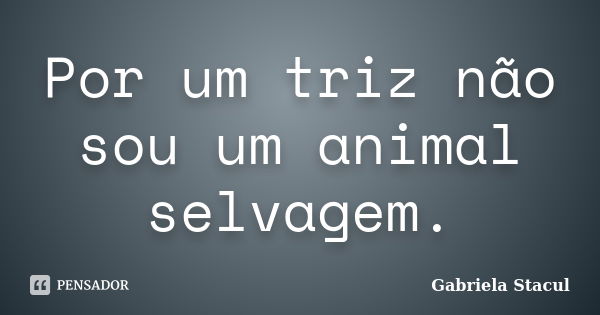 Por um triz não sou um animal selvagem.... Frase de Gabriela Stacul.