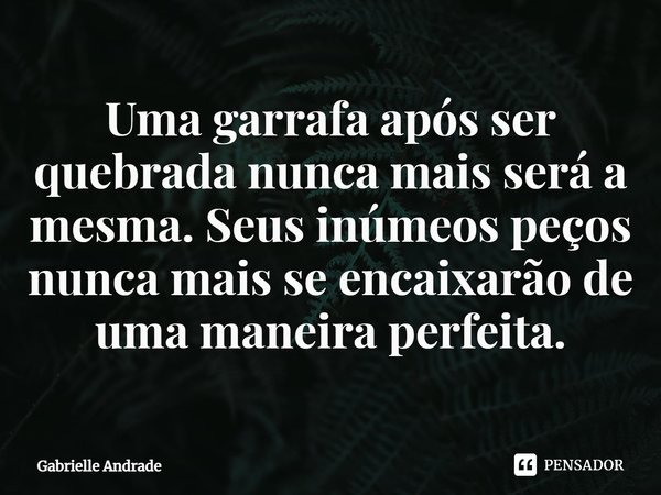 ⁠Uma garrafa após ser quebrada nunca mais será a mesma. Seus inúmeos peços nunca mais se encaixarão de uma maneira perfeita.... Frase de Gabrielle Andrade.