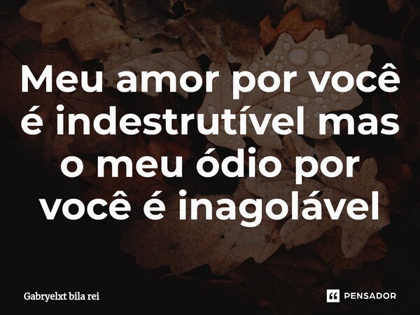 Meu amor por você é indestrutível mas o meu ódio por você é inagolável⁠... Frase de Gabryelxt bila rei.