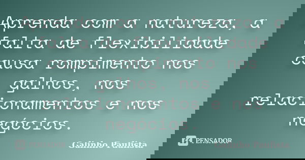 Aprenda com a natureza, a falta de flexibilidade causa rompimento nos galhos, nos relacionamentos e nos negócios.... Frase de Galinho Paulista.