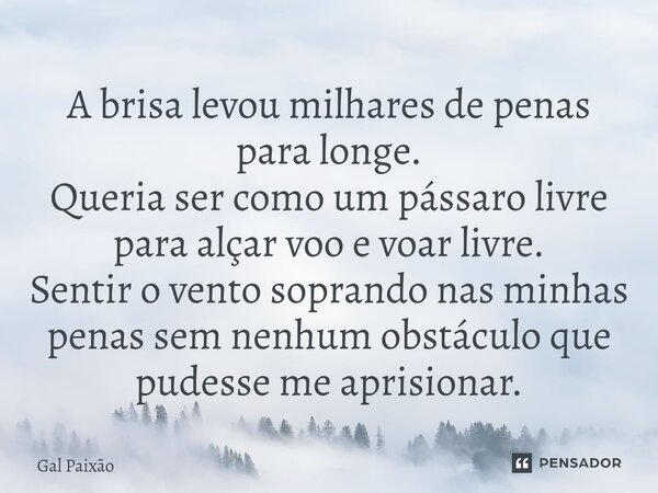 ⁠A brisa levou milhares de penas para longe. Queria ser como um pássaro livre para alçar voo e voar livre. Sentir o vento soprando nas minhas penas sem nenhum o... Frase de Gal Paixão.