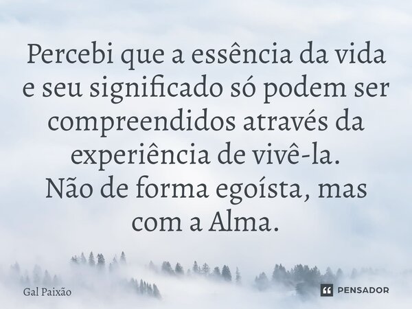 ⁠Percebi que a essência da vida e seu significado só podem ser compreendidos através da experiência de vivê-la. Não de forma egoísta, mas com a Alma.... Frase de Gal Paixão.