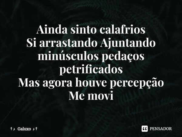 ⁠Ainda sinto calafrios Si arrastando Ajuntando minúsculos pedaços petrificados Mas agora houve percepção Me movi... Frase de Galuxo.