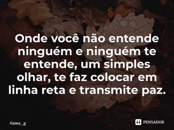 ⁠Onde você não entende ninguém e ninguém te entende, um simples olhar, te faz colocar em linha reta e transmite paz.... Frase de Gama_g.