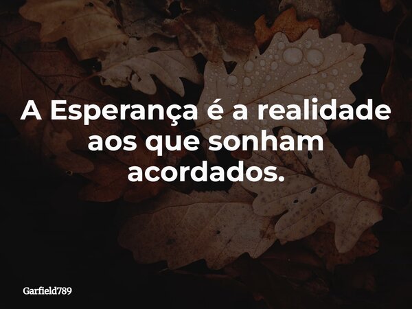 A Esperança é a realidade aos que sonham acordados.... Frase de Garfield789.