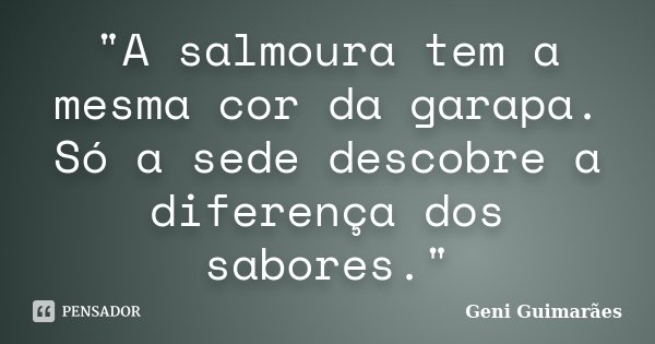 "A salmoura tem a mesma cor da garapa. Só a sede descobre a diferença dos sabores."... Frase de Geni Guimarães.