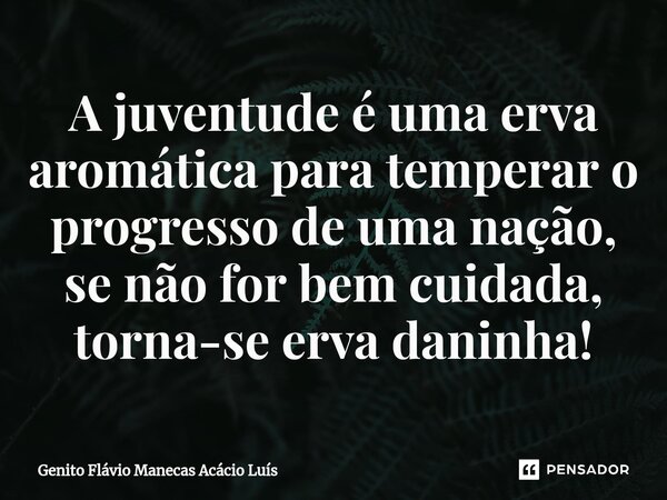 ⁠A juventude é uma erva aromática para temperar o progresso de uma nação, se não for bem cuidada, torna-se erva daninha!... Frase de Genito Flávio Manecas Acácio Luís.