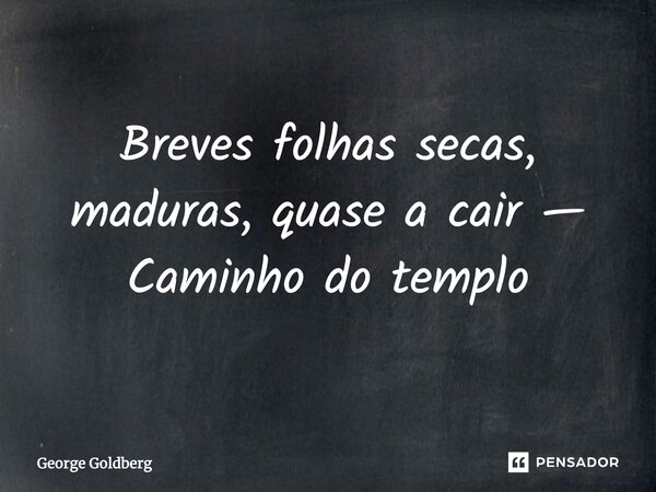Breves folhas secas, maduras, quase a cair — Caminho do templo... Frase de George Goldberg.