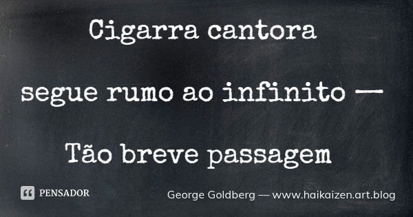 Cigarra cantora segue rumo ao infinito — Tão breve passagem... Frase de George Goldberg  www.haikaizen.art.blog.