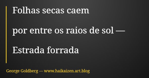 Folhas secas caem por entre os raios de sol — Estrada forrada... Frase de George Goldberg  www.haikaizen.art.blog.