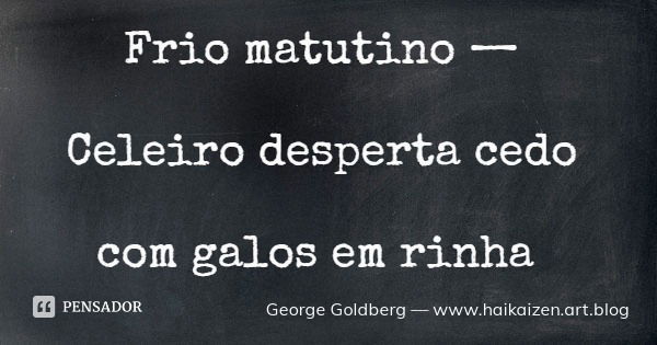 Frio matutino — Celeiro desperta cedo com galos em rinha... Frase de George Goldberg  www.haikaizen.art.blog.