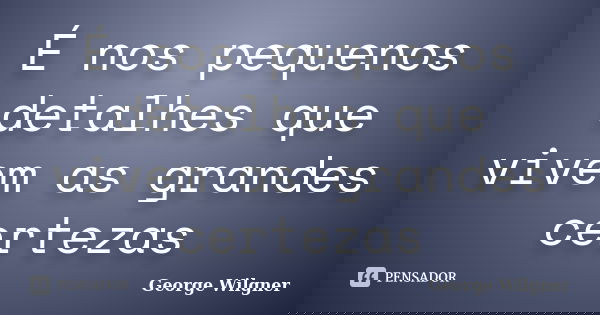 É nos pequenos detalhes que vivem as grandes certezas... Frase de George Wilgner.